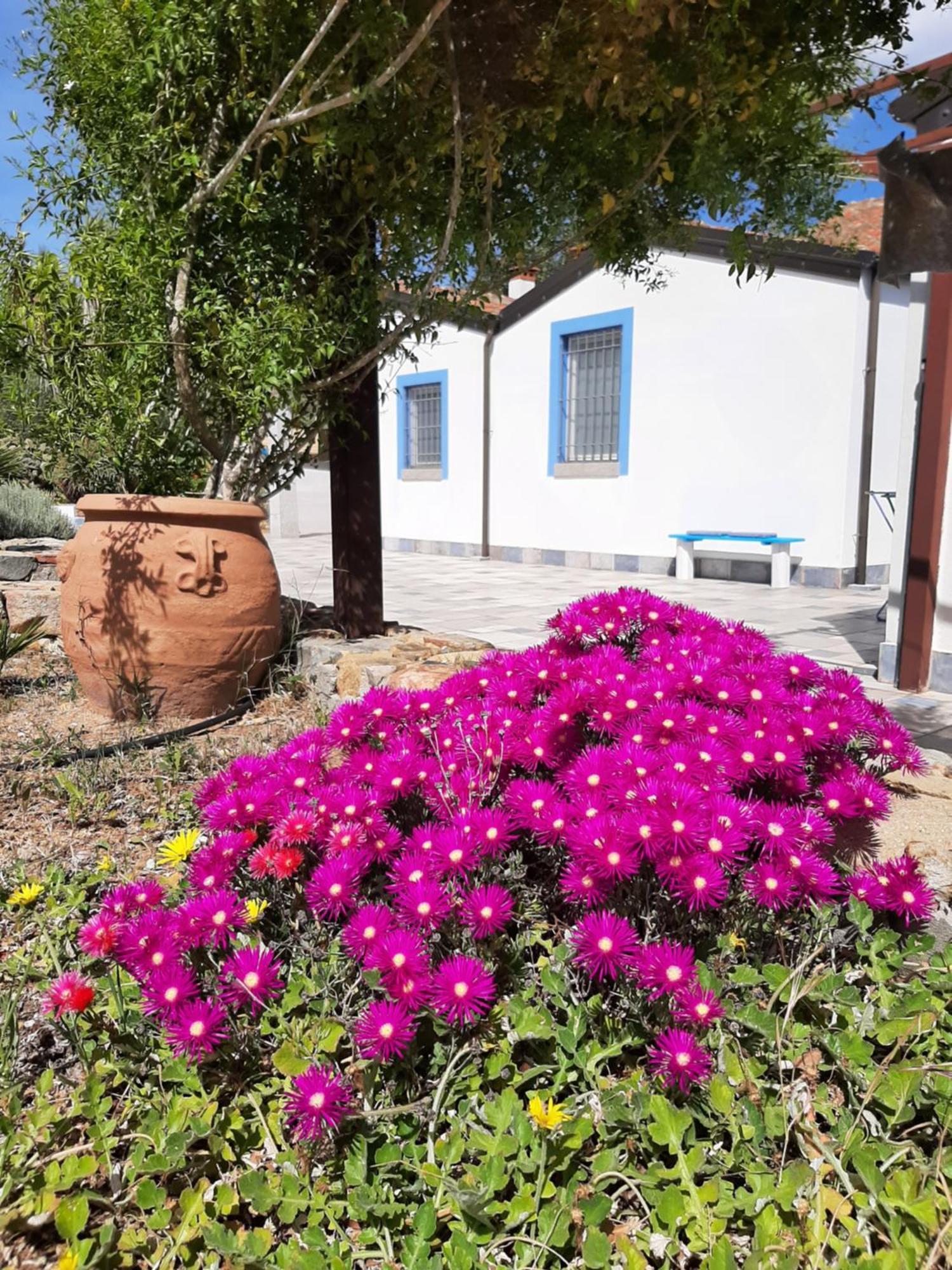 Casale Diletta Panzió Castiadas Kültér fotó